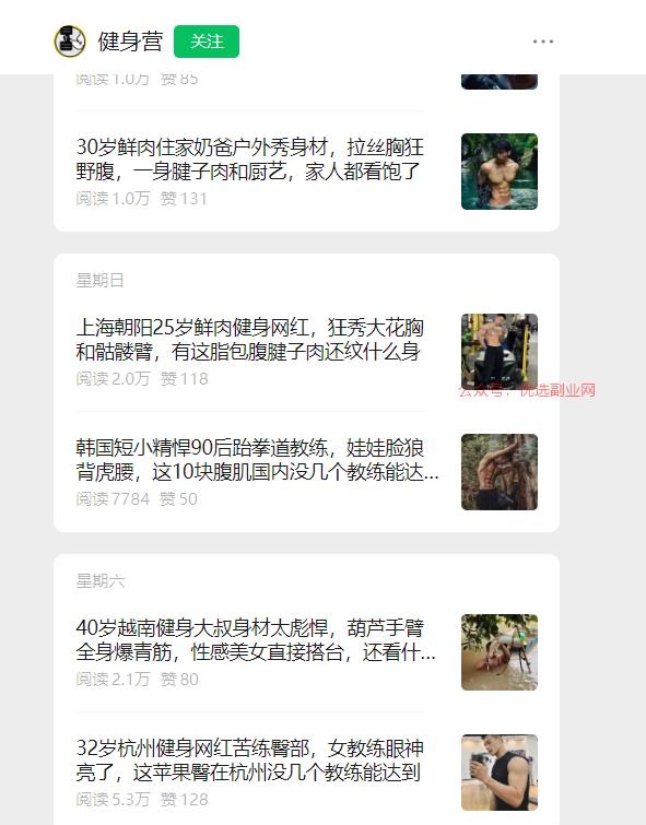 公众号选的领域小众，阅…#情报-搞钱情报论坛-网创交流-优选副业网